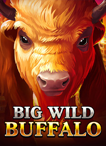 Big Wild Buffalo